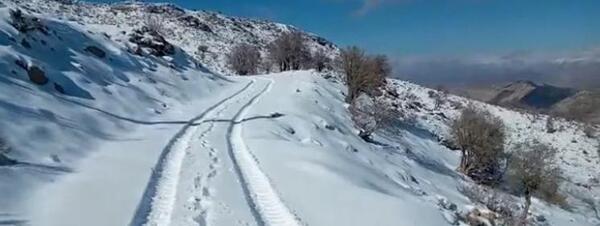 عکس چهار روزه