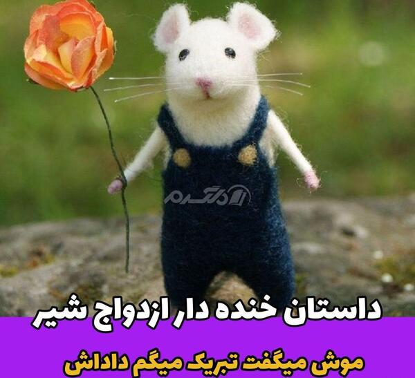 عکس بازی خنده دار