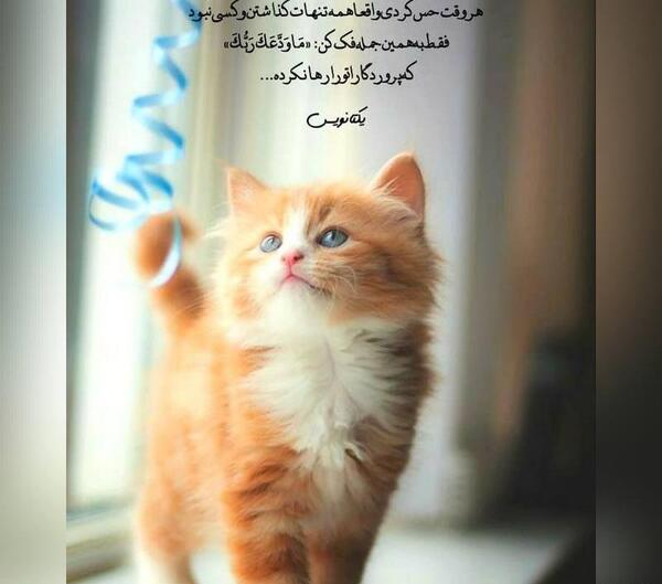 عکس برای پروفایل واتساپ لاکچری