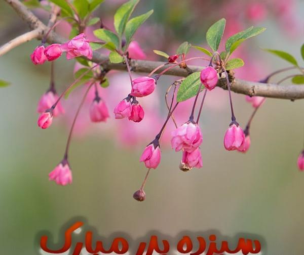 عکس سیزده بدر امروز