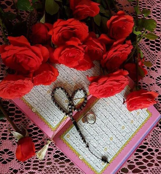عکس گل رز حرکتی