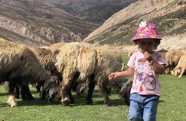 عکس آقای او در پاشو پاشو کوچولو
