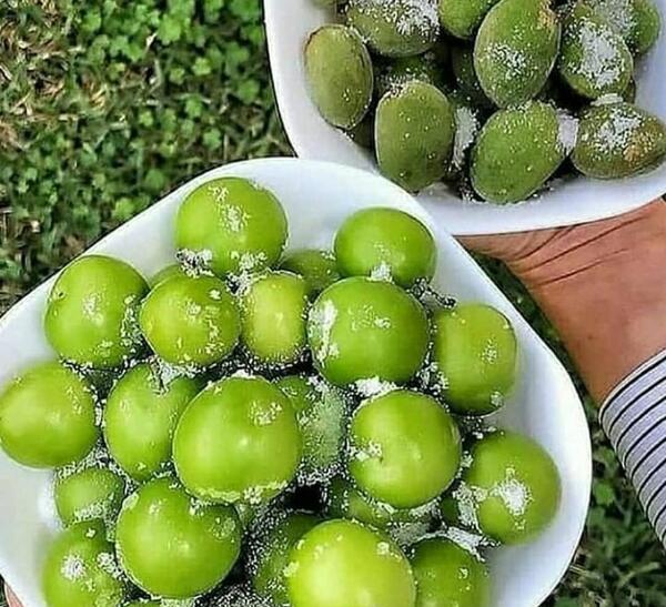 عکس سبز برای پروفایل