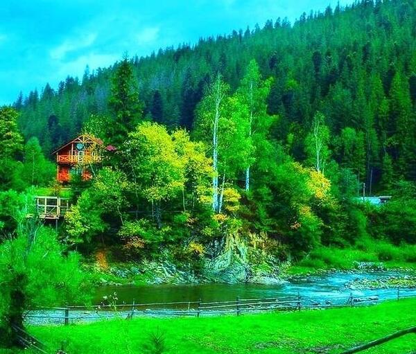 عکس سبز برای پروفایل