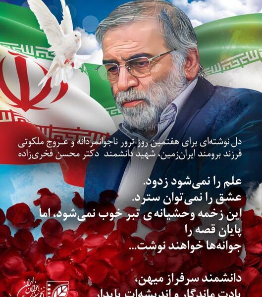 عکس امین سبزیکار