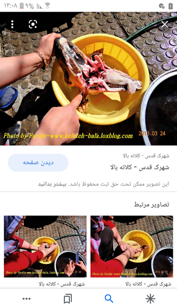 عکس کله پاچه