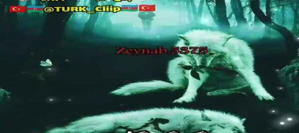 عکس توف سبز