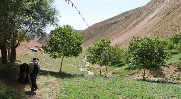 عکس توف سبز