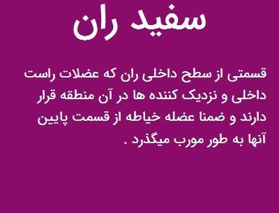عکس سفید ران