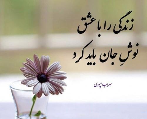 دانلود عکس نوشته زندگی زیباست