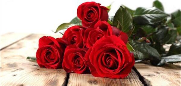 عکس گل یاس طبیعی
