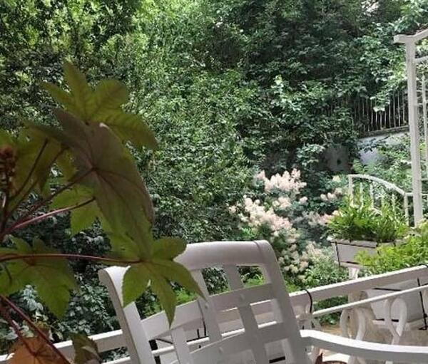 عکس خانه محمدرضا گلزار کجای تهران است