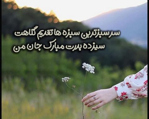 عکس سیزده بدر سبزه