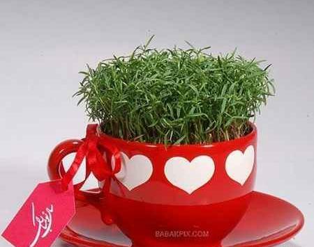 عکس سیزده بدر سبزه