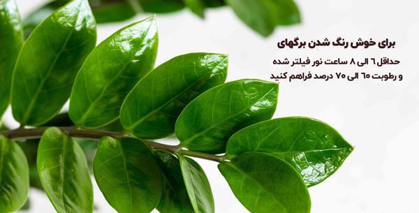 عکس اسم ملینا برای پروفایل