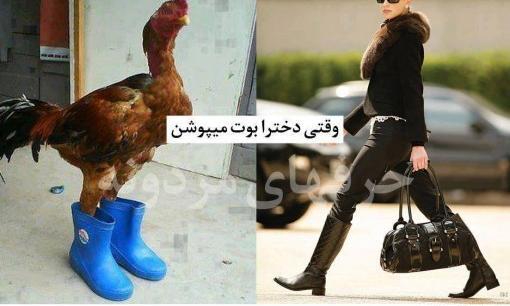 عکس ماه رمضان خنده دار