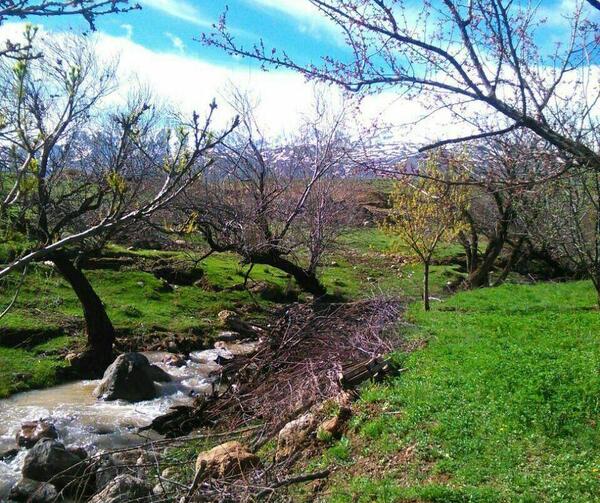 عکس روستای لیلی یادگار نهاوند