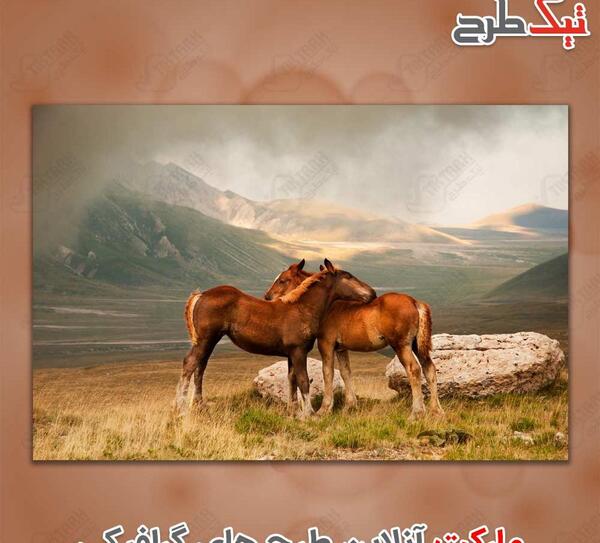 عکس اقای رایگان