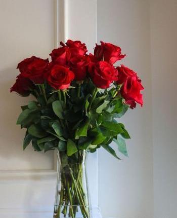 دانلود عکس گل رز غمگین
