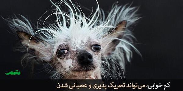 عکس خواب و استراحت کافی
