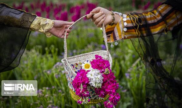 عکس دختر چادری با گل آفتابگردان