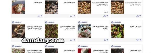 عکس خوابیدن حلزون