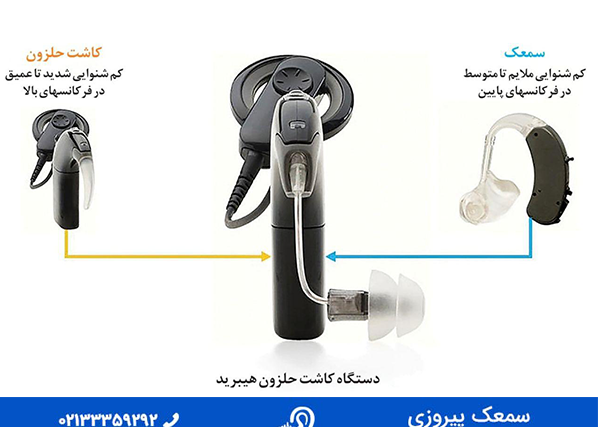 عکس خوابیدن حلزون