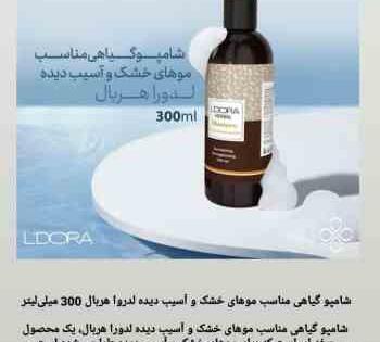 عکس برای پروفایل گروه لدورا