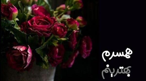 بهترین عکس دنیا عاشقانه