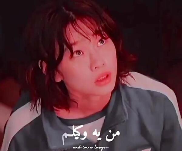 عکس ماهی مرکب