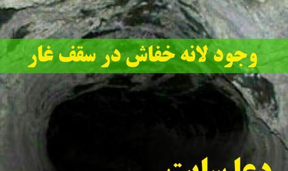 عکس داخل غار