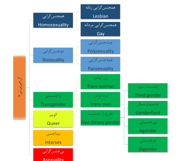 عکس پسران ترنس