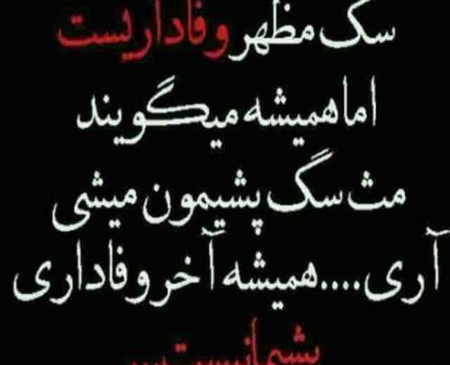 عکس پروفایل تیکه های ناب