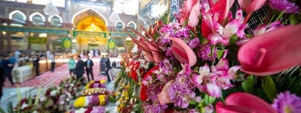 عکس نگین حسن پور