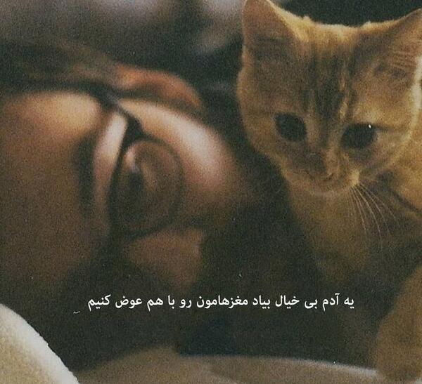 عکس نوشته گربه صفت
