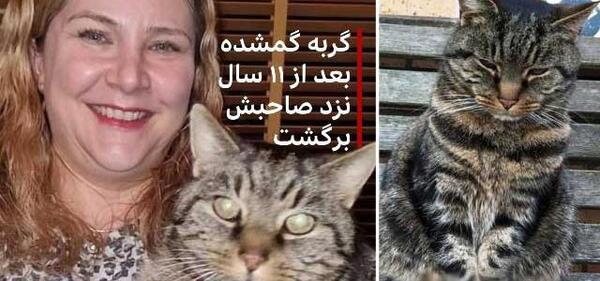 عکس نوشته گربه صفت