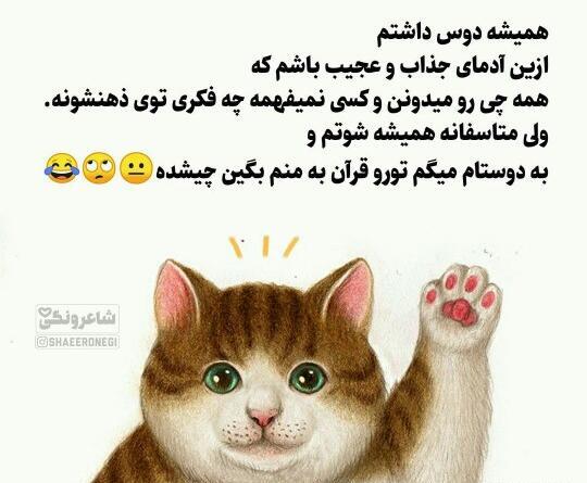 عکس نوشته گربه صفت