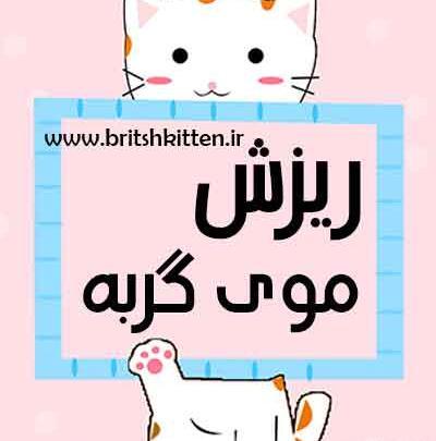 عکس نوشته گربه صفت