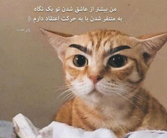 عکس نوشته گربه صفت