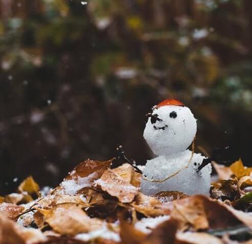 عکس برای پروفایل واتساپ زمستان