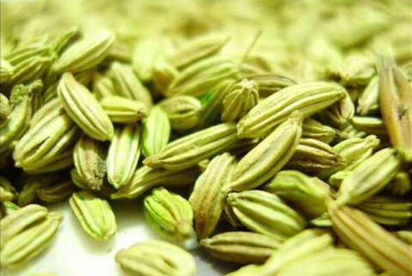 عکس زیره سبز و سیاه