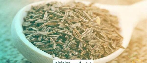 عکس زیره سبز و سیاه