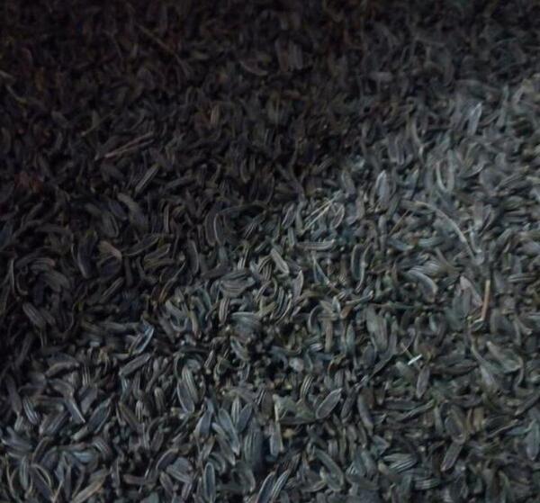 عکس زیره سبز و سیاه