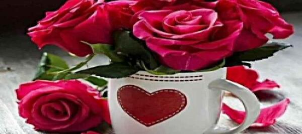 عکس پوتک برای تصویر زمینه