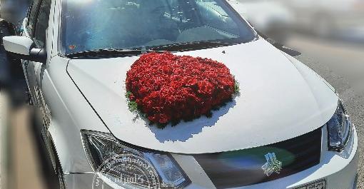 عکس گل رز در ماشین