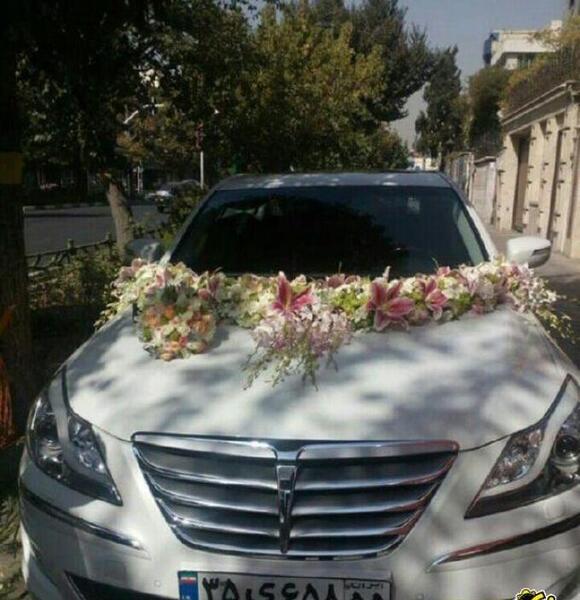 عکس گل رز در ماشین