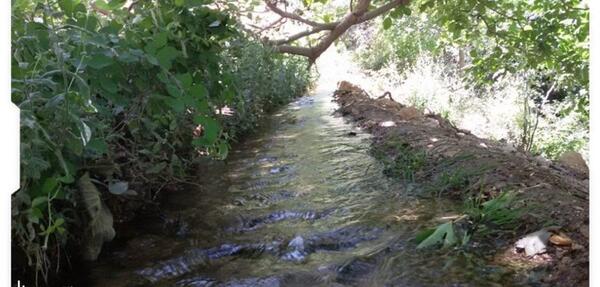 عکس سیزده بدر فانتزی