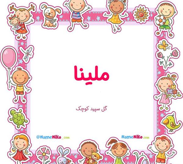 عکس از گل ملینا