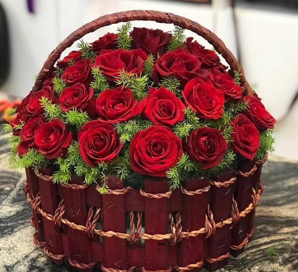 عکس یک سبد گل رز قرمز