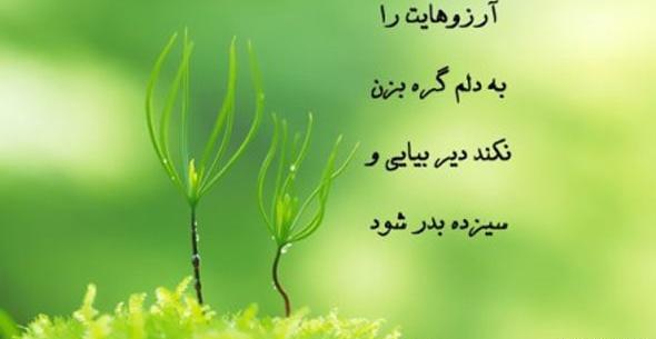 عکس تبریک 13 بدر 1403